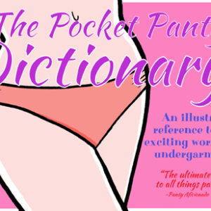 The Pocket Panty Dictionary by Mister V